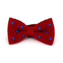 Papillon a pois rossi con pois blu