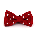 Papillon a pois rossi a pois bianchi
