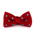 Papillon a pois rossi con sfondo celeste