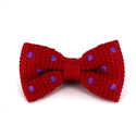 Papillon a pois rossi con pois viola