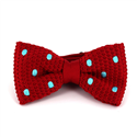 Papillon a pois rossi con pois turchese