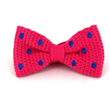 Papillon a pois rosa con pois blu