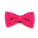 Papillon a pois rosa con pois viola