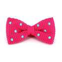 Papillon a pois rosa e turchese