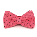 Papillon a pois rosa con punti neri
