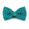 Papillon a pois turchese con punti neri