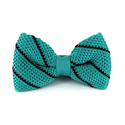 Papillon a pois turchese a righe nere