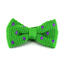 Papillon a pois verdi con pois viola