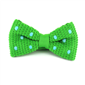 Papillon a pois verde con pois turchese