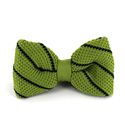 Papillon a pois verde a righe nere