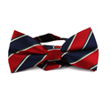 Papillon a Righe Blu Navy e Rosso