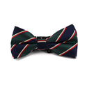 Papillon a righe blu scuro e verde