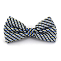 Papillon a righe blu e oro lucido