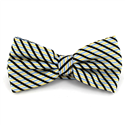 Papillon a Righe Luminose Celeste e Giallo