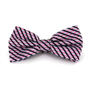 Papillon a Righe Luminoso Fucsia e Lilla