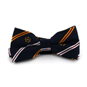 Papillon a righe blu scuro