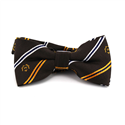Papillon a righe marrone scuola