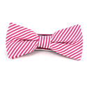 Papillon a Righe Sottili Magenta e Bianco