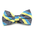 Papillon a Righe Grigio, Azzurro Chiaro e Giallo