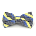 Papillon a Righe Grigio, Blu e Giallo