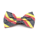Papillon a Righe Grigio, Rosso e Giallo