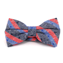 Papillon a Righe Grigio, Rosso e Blu