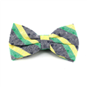 Papillon a Righe Grigio, Verde e Giallo