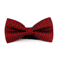 Papillon Rosso a Quadri e Pois