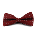 Papillon Rosso Stelle Bianche