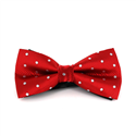 Papillon Rosso a Pois Bianchi