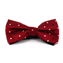 Papillon Rosso a Pois Multicolor