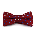 Papillon Rosso a Pois Multicolor
