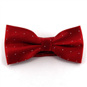 Papillon Rosso Scuro a Pois Brillanti