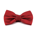 Papillon Rosso a Pois Bianchi
