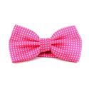 Papillon Rosa Intenso a Pois Bianchi