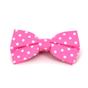 Papillon Rosa a Pois Bianchi