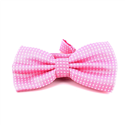 Papillon Rosa a Pois Bianchi