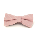 Papillon Rosa Righe Bianche