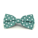 Papillon Verde a Pois Bianchi
