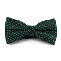 Papillon Verde a Pois Gialli