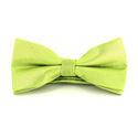 Papillon Verde a Pois Luminosi