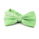 Papillon Verde a Pois Verdi