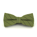 Papillon a righe verdi e nere