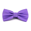 Papillon Viola a Pois Bianchi