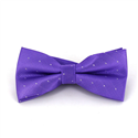 Papillon Viola a Pois Luminosi